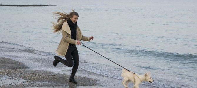 Jak biegać z psem ?